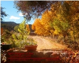 Autumn's Beginning - Taos, New Mexico